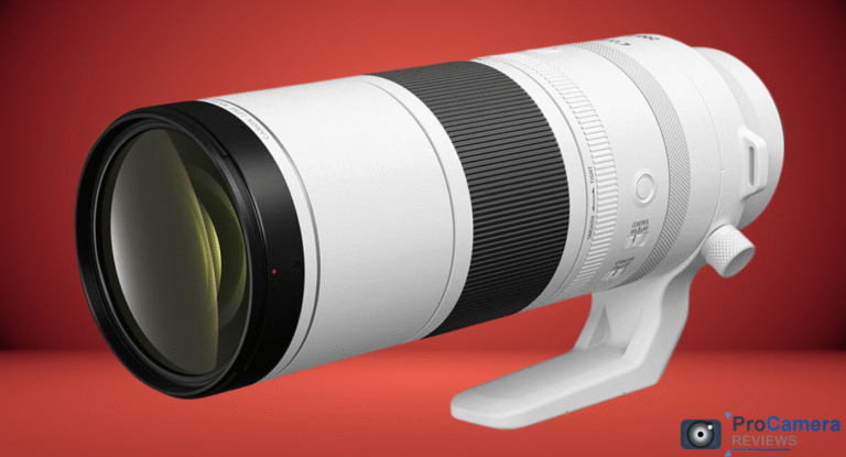Canon RF 200-800mm Review