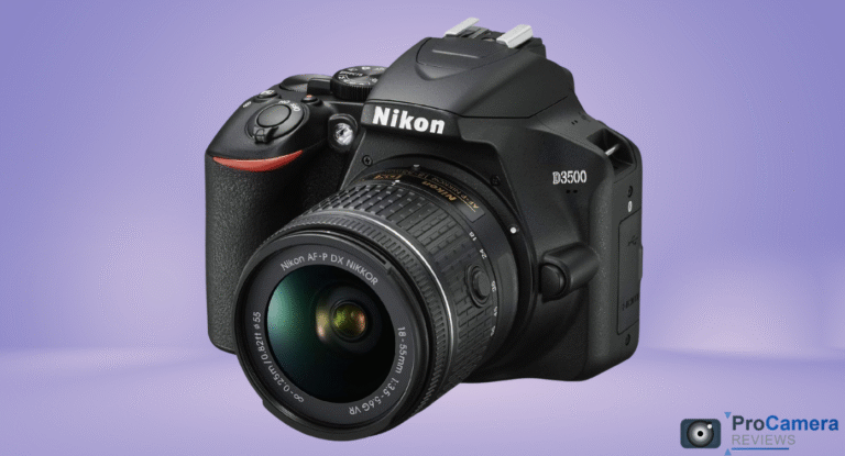 Nikon D3500 Review